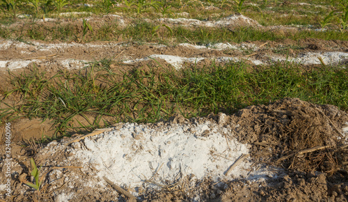 quicklime