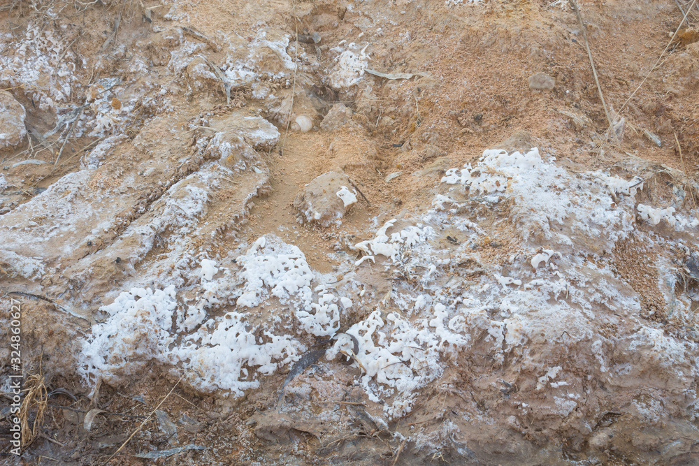 Salty soil Salty soil