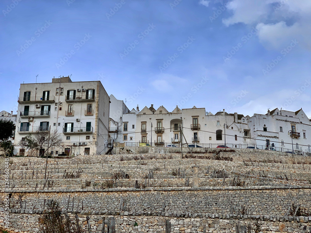 Εκτύπωση καμβά View of Locorotondo town in Puglia, Italy