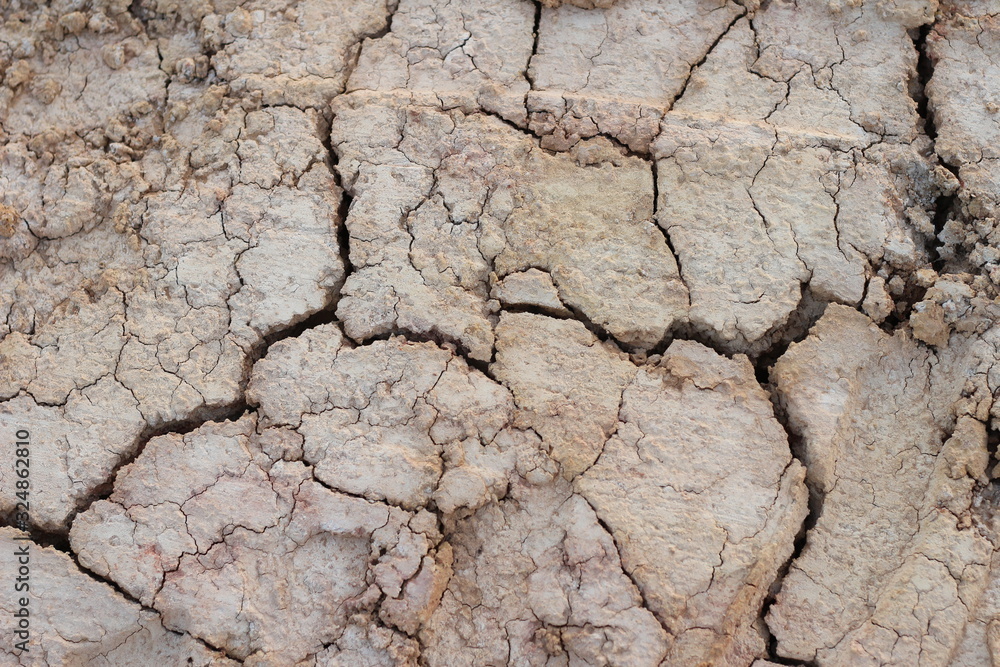 dry soil cracked earth texture dry soil cracked earth texture