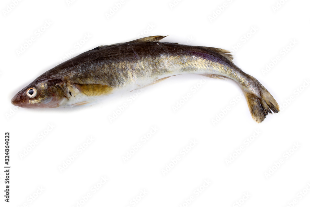 Safron cod fish Safron cod fish