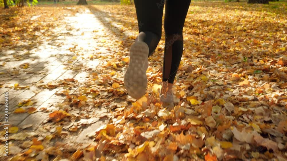Closeup slow motion video of young woman wearing sports sneakers running on the pathway at park covered with yellow, red and golden tree leaves at autumn Closeup slow motion video of young woman wearing sports sneakers running on the pathway at park covered with yellow, red and golden tree leaves at autumn