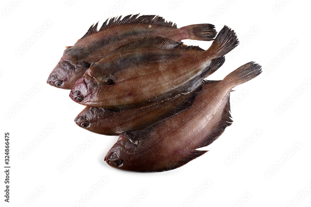 Fototapeta premium Korean flounder