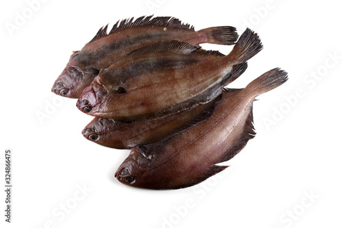 Korean flounder