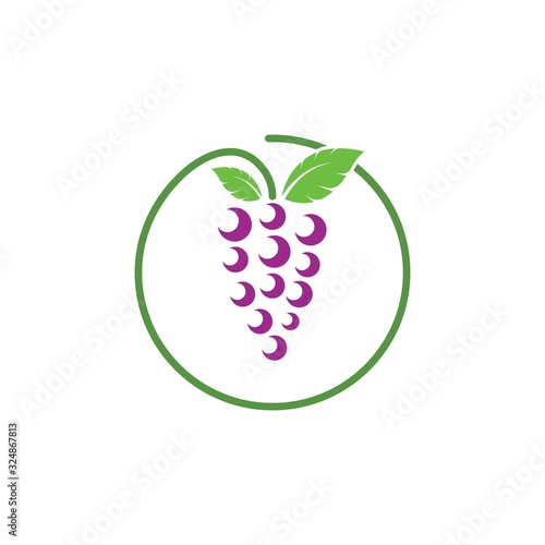 Grape fruits with leaf icon vector illustrtion