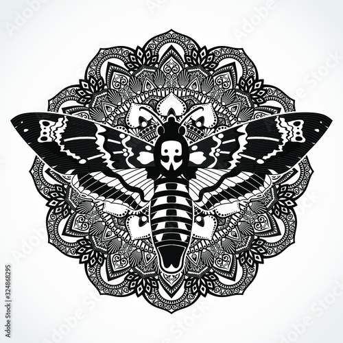 death head moth mandala ornamental gothic background