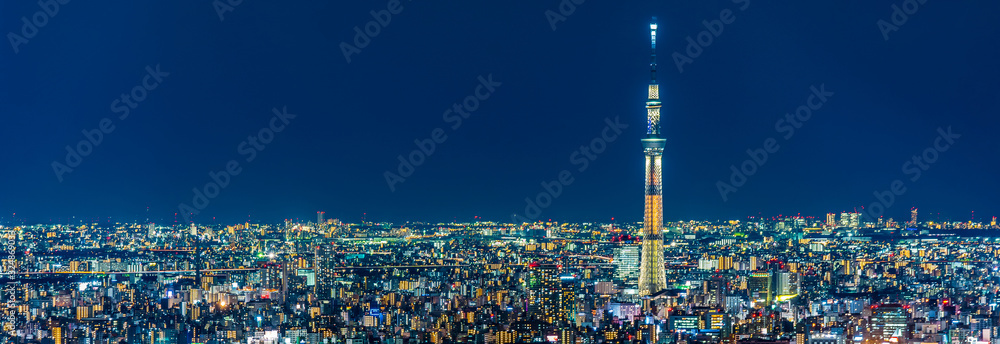 Obraz premium Night view of Tokyo Japan ~ 池袋から見た東京の夜景 ~