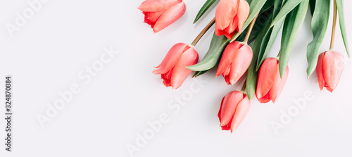 Pink tulips bouquet isolated on white background from above. Top view of red flower bud. Spring and easter greeting card design layout. #324870884