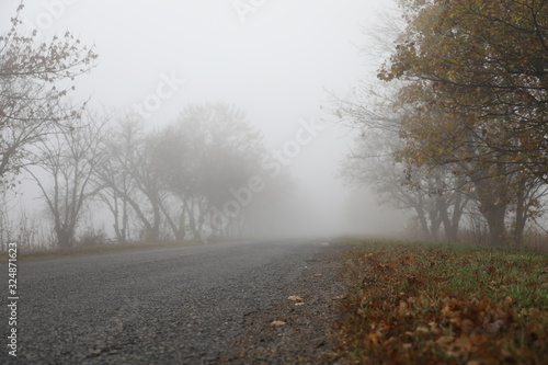 Fog and road in autumn time