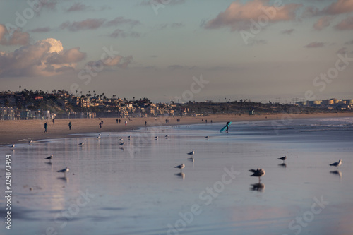 View from Santa Monica beach in Los Angeles  California  United States.