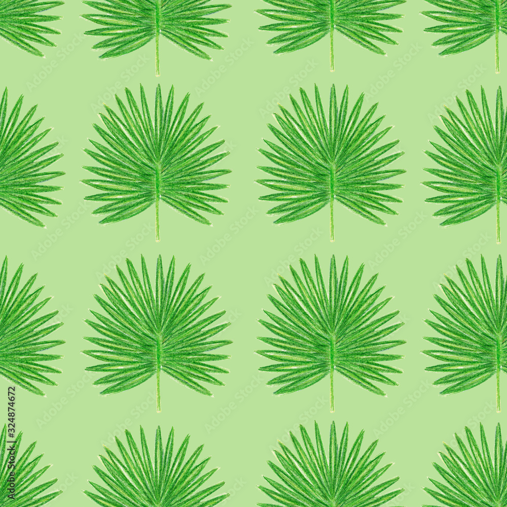Seamless pattern with watercolor colored pencils hand drawn illustration of tropic leaves of marijuana
