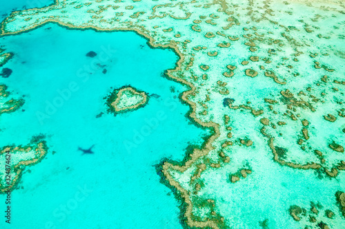 Fototapeta Naklejka Na Ścianę i Meble -  Great Barrier Reef Heart Reef Australia