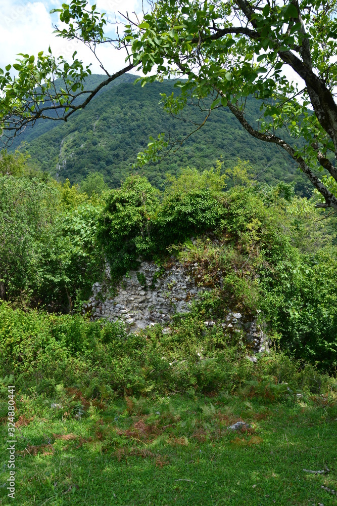 Fototapeta premium Abkhazia Абхазия