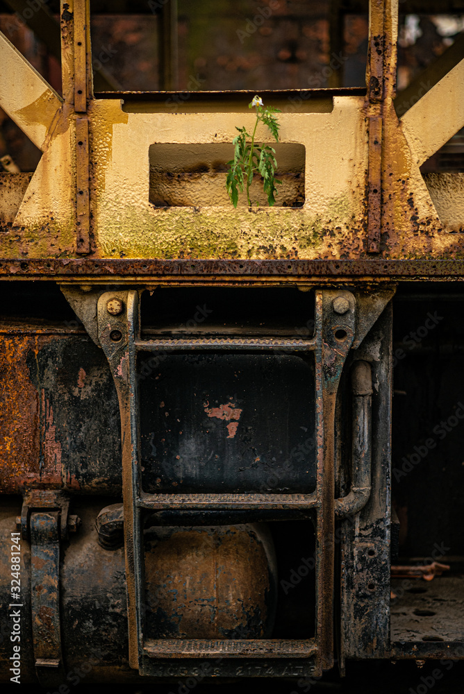 Plant was born in train car, old and rusty stairs.