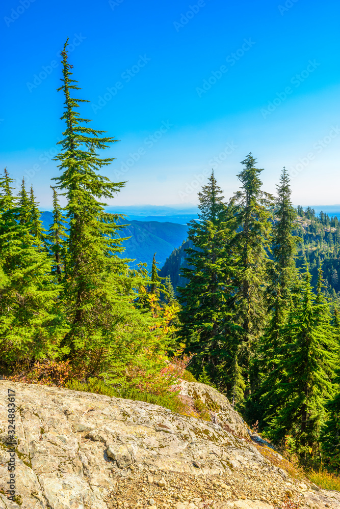 Obraz premium Fragment of Mount Seymour trail in Vancouver, Canada.