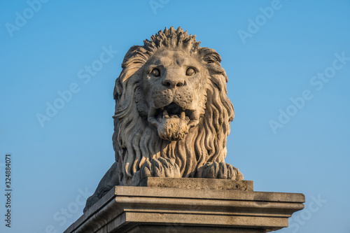 Lion on Chain Bridge on the Danube River in Budapest, Hungary