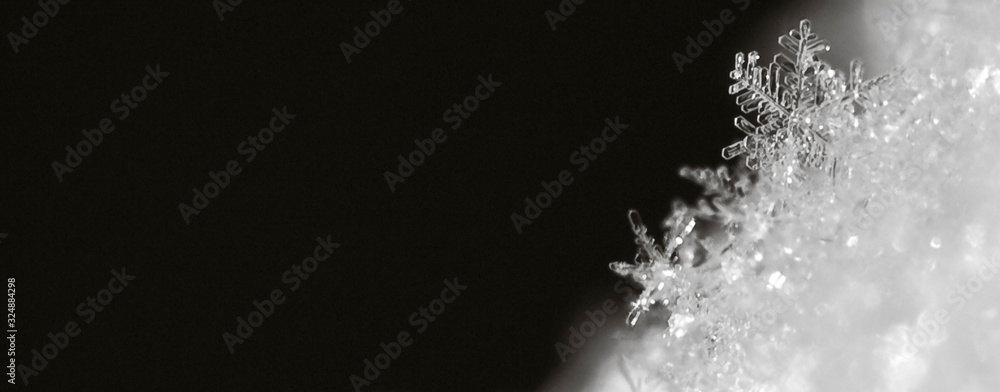 Obraz premium Macro photo of a snowflake with a large blank background