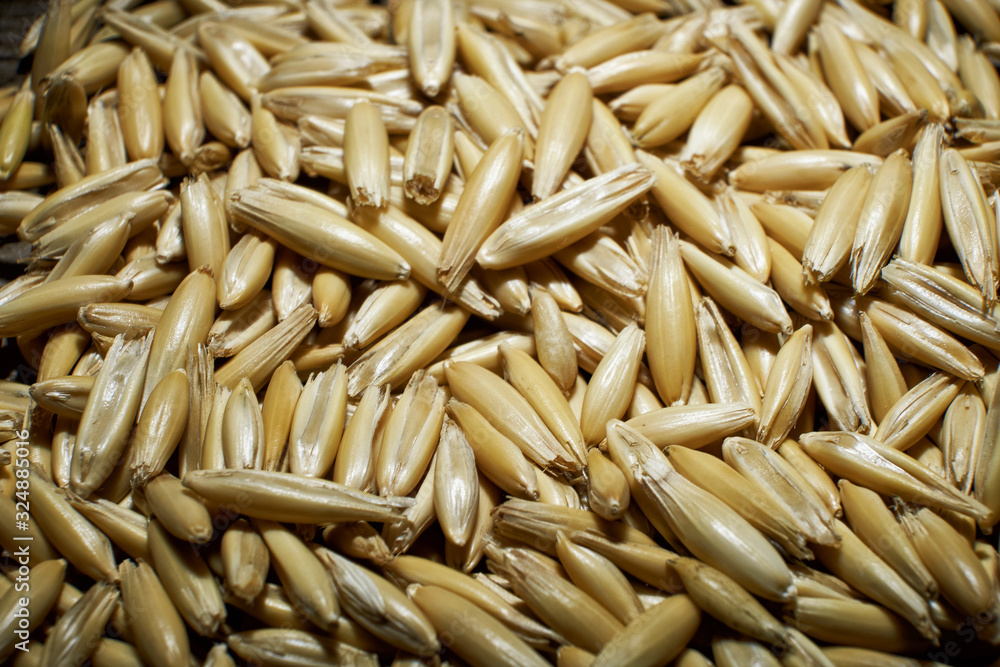 background of hard red winter wheat background of hard red winter wheat