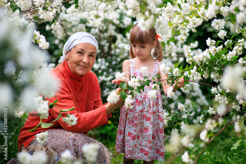 Grandmother and granddaughter in spring nature. Spring flowers