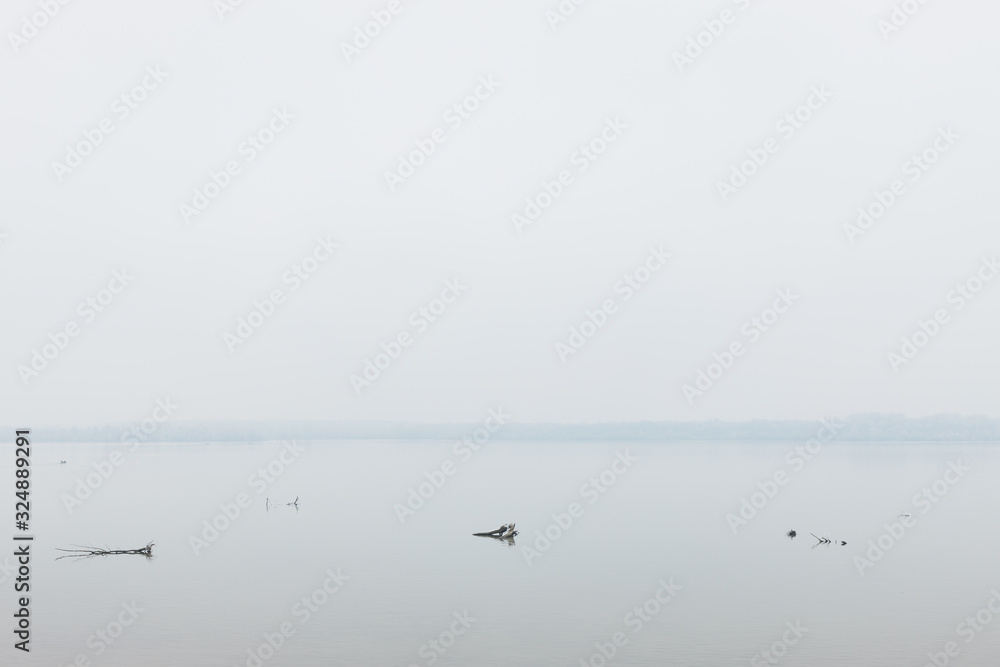 Dead trees in the river in winter morning Dead trees in the river in winter morning