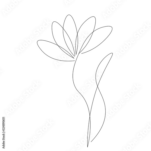Flower silhouette on white background vector illustration