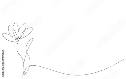 Wallpaper Mural Flower background spring bloom vector illustration Torontodigital.ca