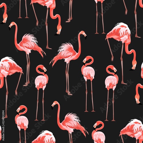 Pink flamingo, black background. Floral seamless pattern. Tropical illustration. Exotic  birds. Summer beach design. Paradise nature.