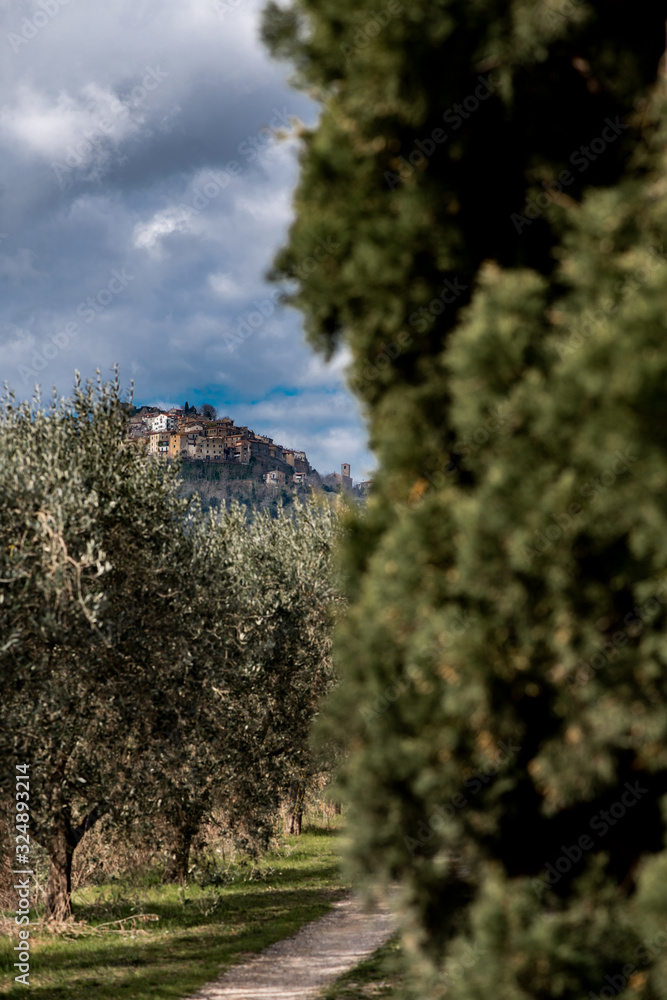 Batignano village on a hill, between cypress and olive trees Batignano village on a hill, between cypress and olive trees
