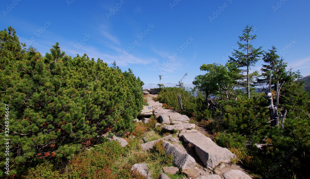 a trail in karkonosze mountains