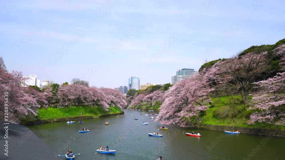 People enjoy boat at Chidorigafuchi Moat, which are surrounded by many Cherry blossoms trees at Chiyoda Tokyo Japan on 2018.