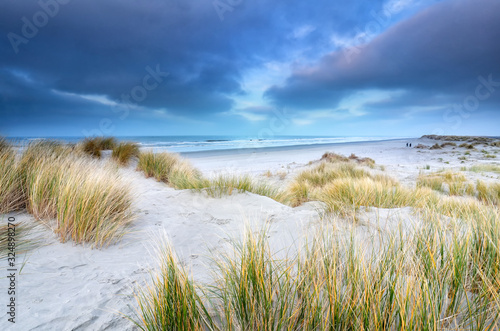 View on north sea from sand dunes