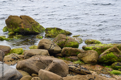 Mossy rocks in the seaside