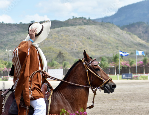 Caballo © Carolina