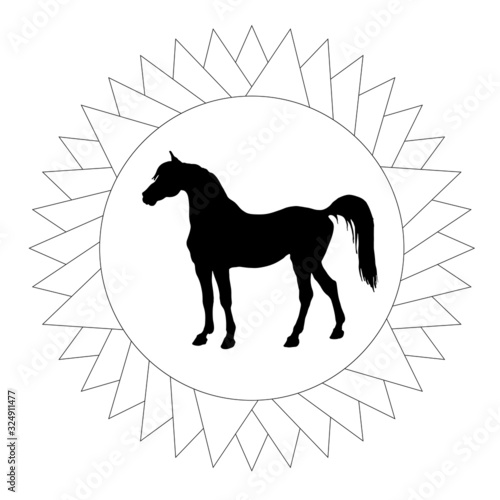 hand-drawn black silhouette of a horse in a star-shaped frame, premium rosette, monochrome image on a white 