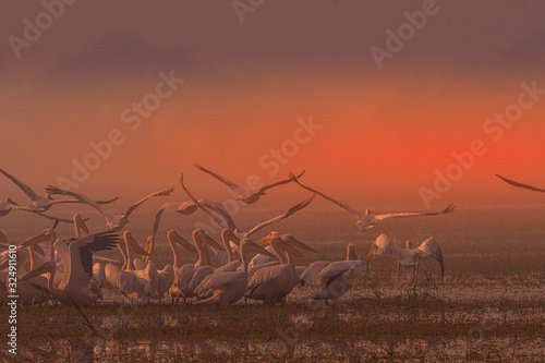 Photography The most beautiful sunset with nature...