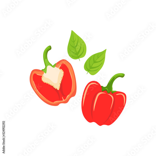 Vector isolated red bell pepper and leaves on white background. Good for vegetarian, vegetable, ecology and healthy design projects.