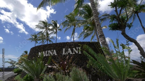 Tilt down, palm trees around Mauna Lani sign photo