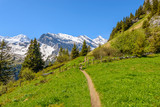 Crossing the Alps. Hiking trail in the Alps. Murren. Switzerland.