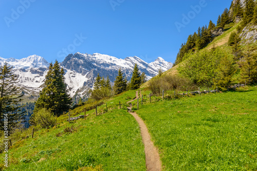 Crossing the Alps. Hiking trail in the Alps. Murren. Switzerland.
