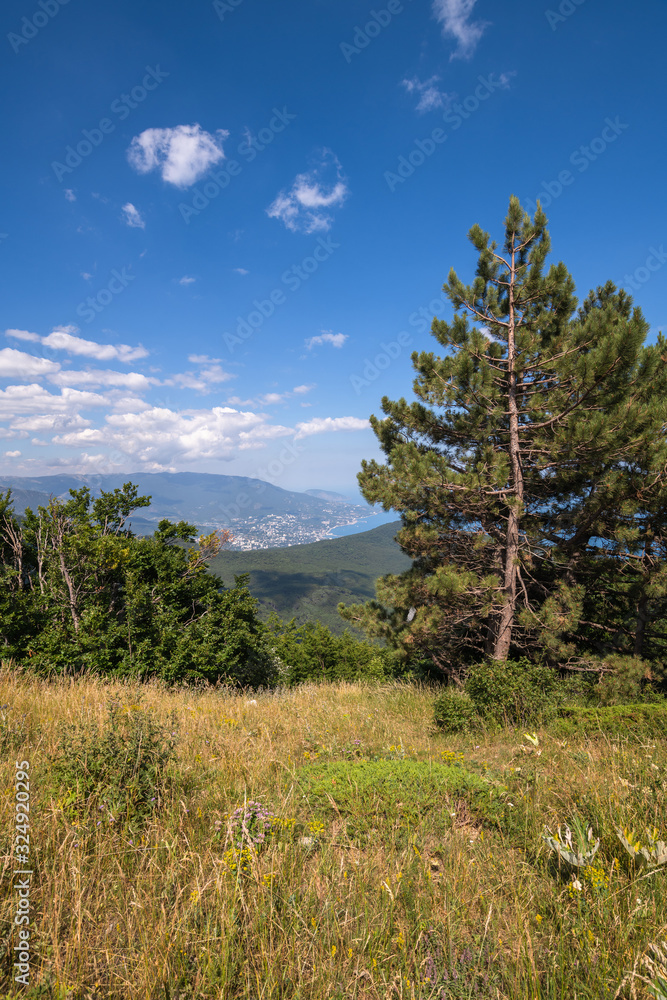 Obraz premium Natural landscape on Ah-Petri mountain in Crimea