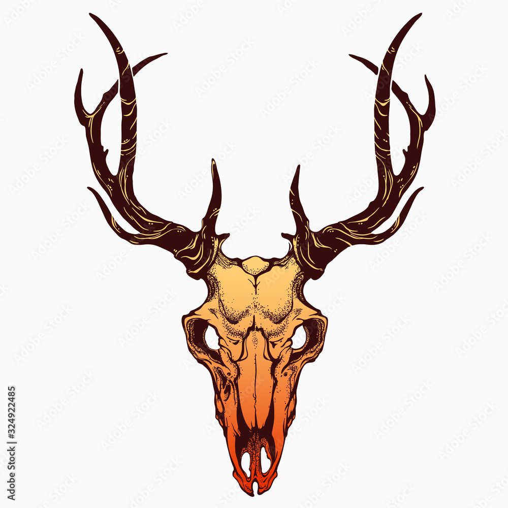 realistic deer skull with horns realistic deer skull with horns