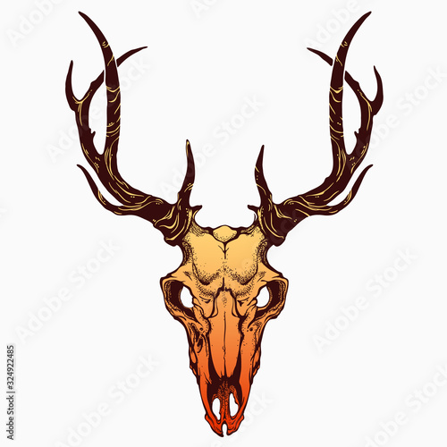 realistic deer skull with horns