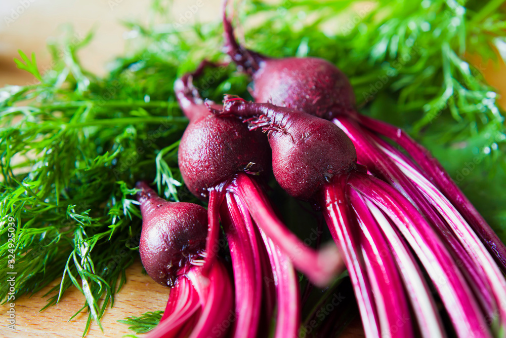 Young Beetroot red vegetable with beet green - leaves for fresh spring salad. - obrazy, fototapety, plakaty 