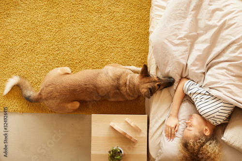 Canvas Print High angle view of German shepherd lying near the owner while woman lying in her