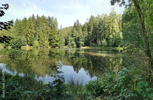 Fototapeta Naklejka Na Ścianę i Meble -  Lake in Bohemian Swtzerland