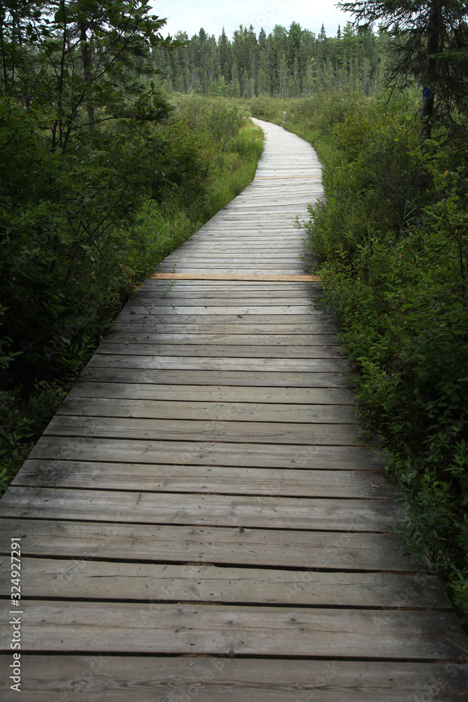 nature boardwalk