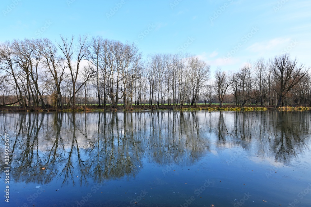 Beautiful spring landscape with bare trees leaning over the water and reflecting. Concept of calmness and tranquility. Spring landscape with a river and a row of trees on blue sky background 