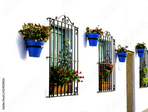 Fotografía White-fronted houses, adorned with blue pots with their flowers from the village