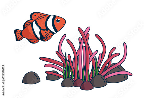 Stampa su tela Clownfish and anemone. Vector illustration