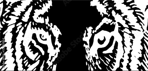 Close-up graphical sketch of tiger eyes, vector illustration